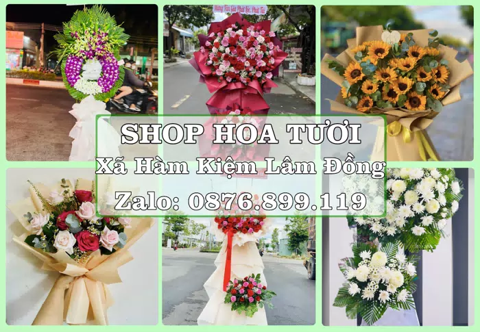 Shop hoa tươi tại Xã Hàm Kiệm Lâm Đồng – Từ bó hoa tặng đến giỏ trái cây biếu · ảnh 1