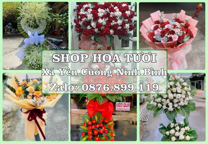 Shop hoa tươi tại Xã Yên Cường Ninh Bình – Món quà chỉn chu từ những điều nhỏ · ảnh 1