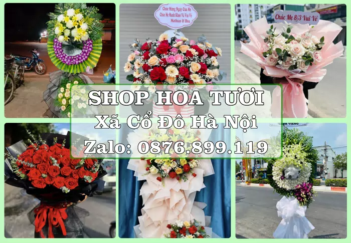 Shop hoa tươi tại Xã Cổ Đô Hà Nội – Gửi lời quan tâm bằng hoa và trái cây · ảnh 1
