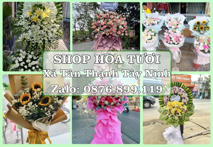 Shop hoa tươi tại Xã Tân Thạnh Tây Ninh – Từ bó hoa tặng đến giỏ trái cây biếu · ảnh 1