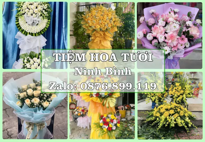 Shop hoa tươi tại Ninh Bình – Đặt quà gửi người thân từ xa · ảnh 1