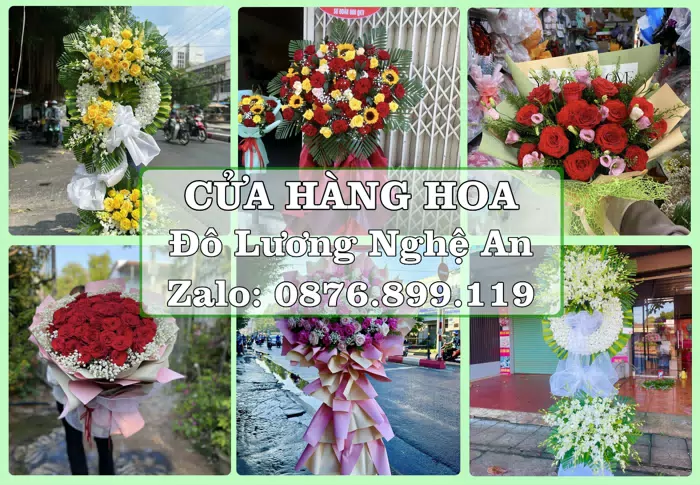 Shop hoa tươi tại Đô Lương Nghệ An – Từ bó hoa tặng đến giỏ trái cây biếu · ảnh 1