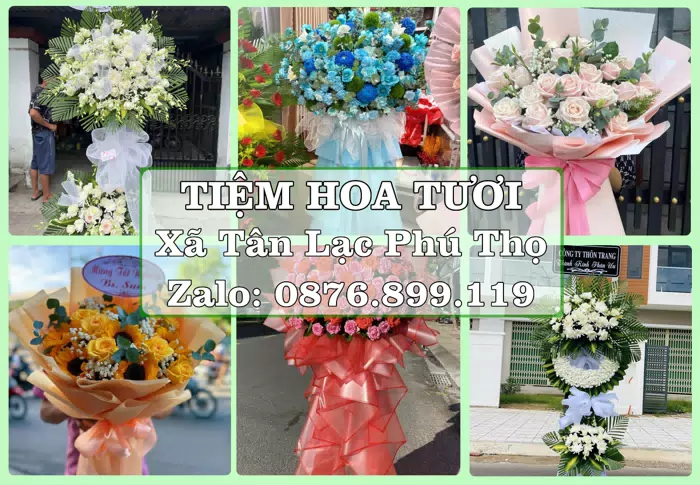 Shop hoa tươi tại Xã Tân Lạc Phú Thọ – Từ bó hoa tặng đến giỏ trái cây biếu · ảnh 1