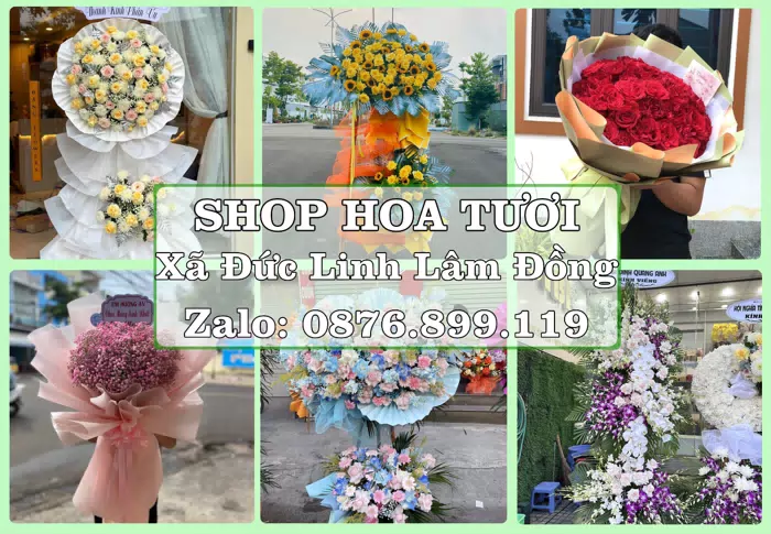 Shop hoa tươi tại Xã Đức Linh Lâm Đồng – Hoa tươi và trái cây, dễ chọn theo từng dịp · ảnh 1