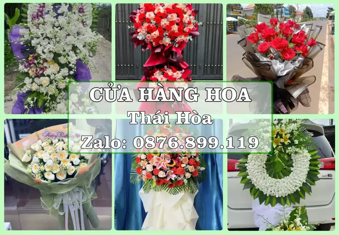 Shop hoa tươi tại Thái Hòa – Tư vấn hoa và trái cây theo ngân sách · ảnh 1