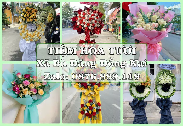 Shop hoa tươi tại Xã Bù Đăng Đồng Nai – Đặt quà gửi người thân từ xa · ảnh 1