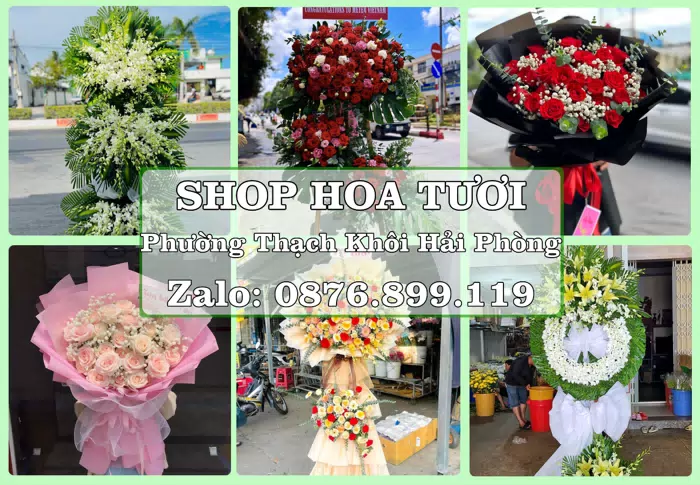 Shop hoa tươi tại Phường Thạch Khôi Hải Phòng – Đặt quà gửi người thân từ xa · ảnh 1