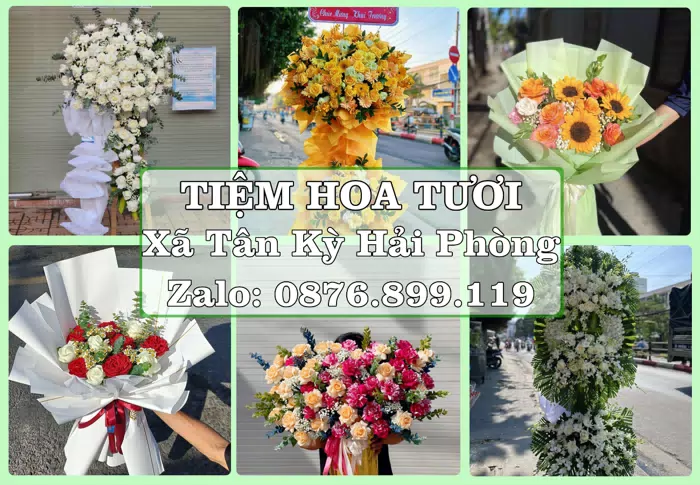 Shop hoa tươi tại Xã Tân Kỳ Hải Phòng – Gửi lời quan tâm bằng hoa và trái cây · ảnh 1