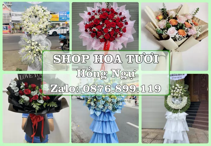 Shop hoa tươi tại Hồng Ngự – Tư vấn hoa và trái cây theo ngân sách · ảnh 1