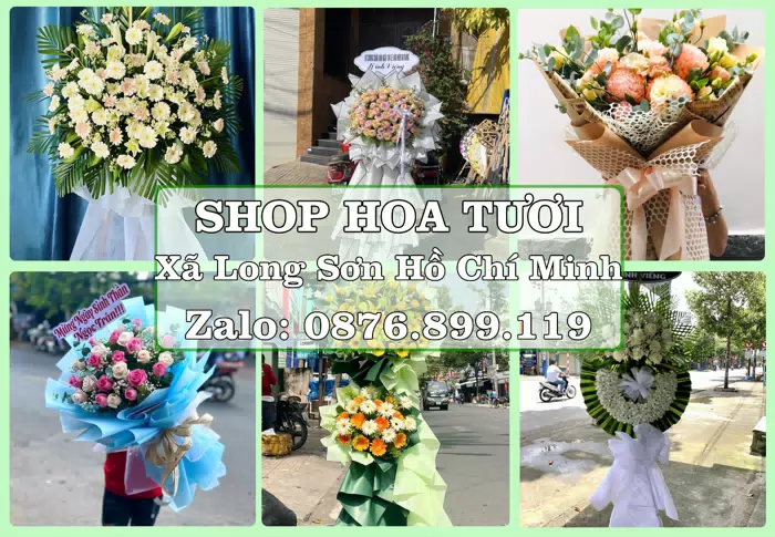 Shop hoa tươi tại Xã Long Sơn Hồ Chí Minh – Tư vấn hoa và trái cây theo ngân sách · ảnh 1
