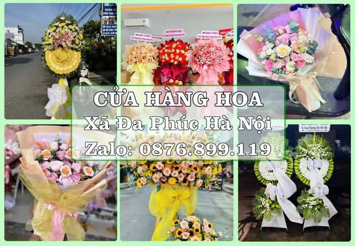 Shop hoa tươi tại Xã Đa Phúc Hà Nội – Hoa xinh, trái cây cho những dịp gần gũi · ảnh 1
