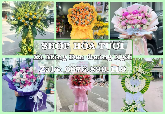 Shop hoa tươi tại Xã Măng Đen Quảng Ngãi – Tư vấn hoa và trái cây theo ngân sách · ảnh 1