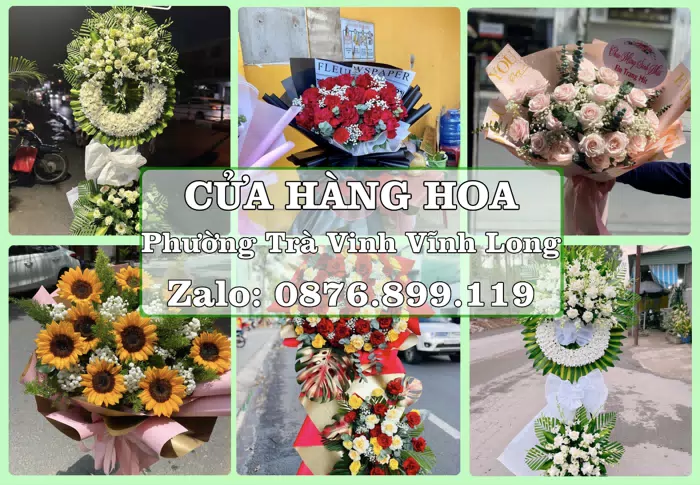 Shop hoa tươi tại Phường Trà Vinh Vĩnh Long – Hoa chúc mừng, quà biếu theo nhu cầu · ảnh 1