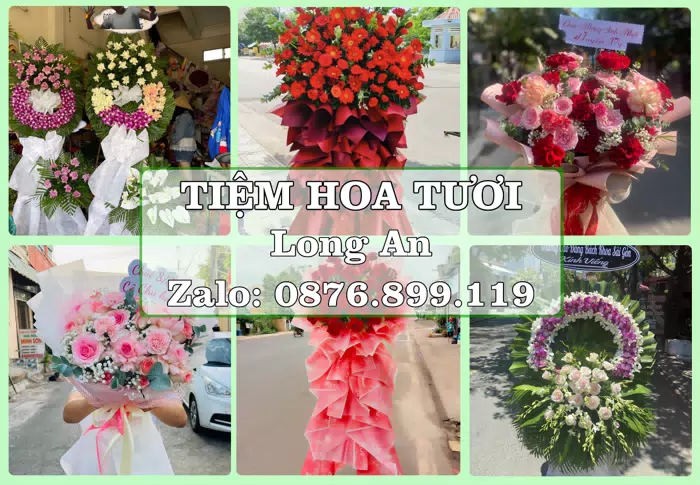 Shop hoa tươi tại Long An – Hoa chúc mừng, quà biếu theo nhu cầu · ảnh 1
