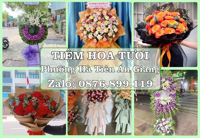 Shop hoa tươi tại Phường Hà Tiên An Giang – Từ bó hoa tặng đến giỏ trái cây biếu · ảnh 1