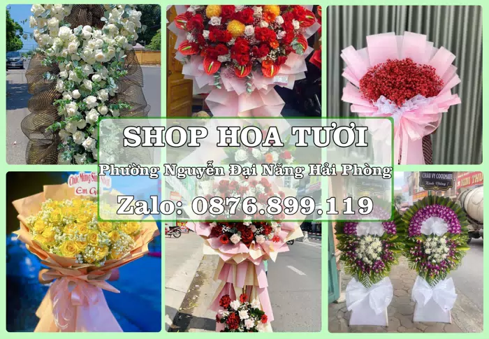 Shop hoa tươi tại Phường Nguyễn Đại Năng Hải Phòng – Hoa xinh, trái cây cho những dịp gần gũi · ảnh 1