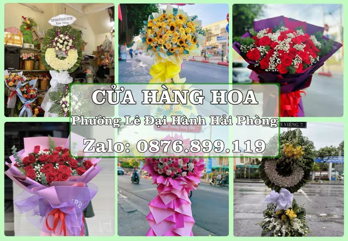 Shop hoa tươi tại Phường Lê Đại Hành Hải Phòng – Món quà chỉn chu từ những điều nhỏ · ảnh 1