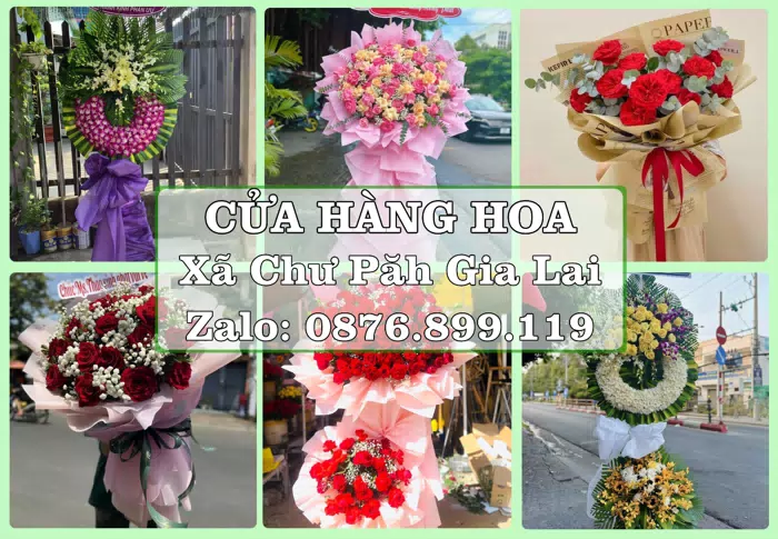 Shop hoa tươi tại Xã Chư Păh Gia Lai – Hoa xinh, trái cây cho những dịp gần gũi · ảnh 1
