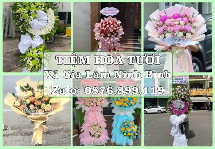 Shop hoa tươi tại Xã Gia Lâm Ninh Bình – Tư vấn hoa và trái cây theo ngân sách · ảnh 1
