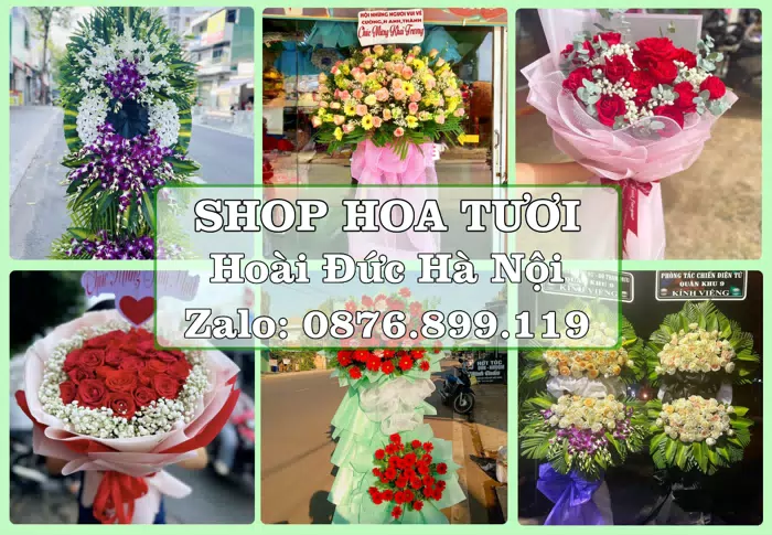 Shop hoa tươi tại Hoài Đức Hà Nội – Hoa tươi và trái cây, dễ chọn theo từng dịp · ảnh 1