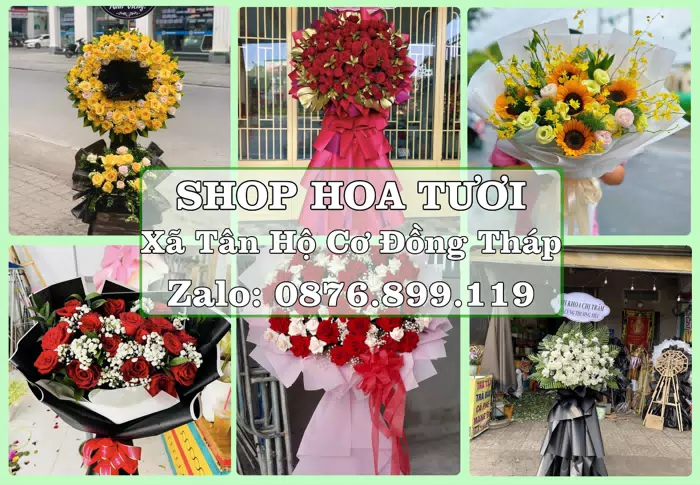 Shop hoa tươi tại Xã Tân Hộ Cơ Đồng Tháp – Chọn hoa, chọn giỏ quà thật chu đáo · ảnh 1