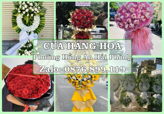 Shop hoa tươi tại Phường Hồng An Hải Phòng – Tư vấn hoa và trái cây theo ngân sách · ảnh 1