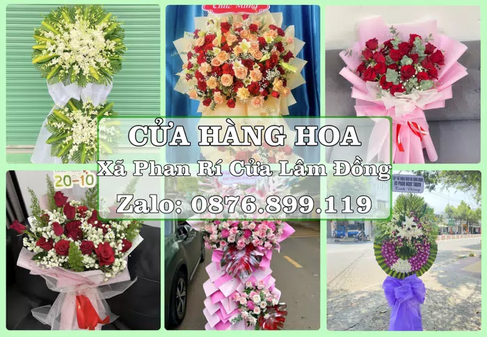 Shop hoa tươi tại Xã Phan Rí Cửa Lâm Đồng – Gửi lời quan tâm bằng hoa và trái cây · ảnh 1