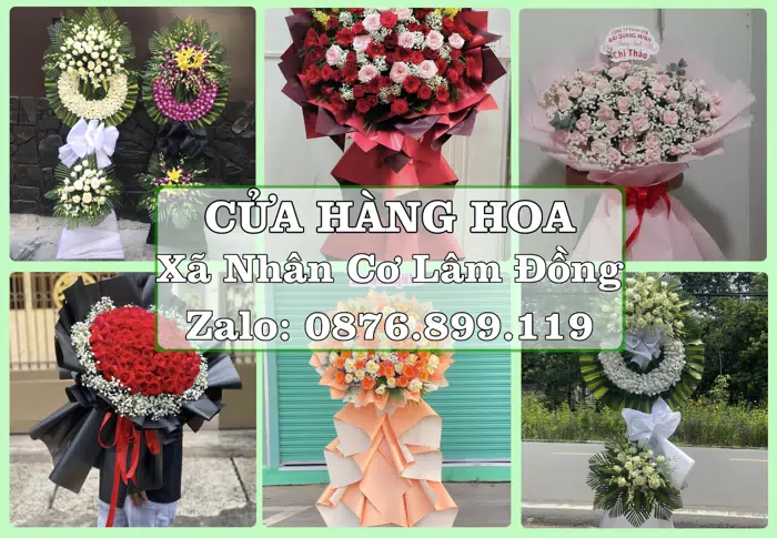 Shop hoa tươi tại Xã Nhân Cơ Lâm Đồng – Một món quà vừa ý cho ngày đáng nhớ · ảnh 1