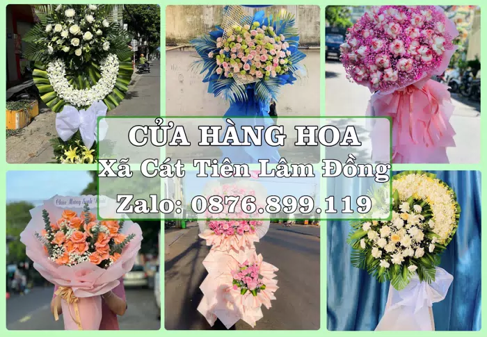 Shop hoa tươi tại Xã Cát Tiên Lâm Đồng – Gửi lời quan tâm bằng hoa và trái cây · ảnh 1