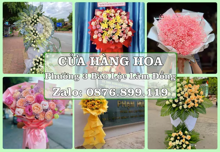 Shop hoa tươi tại Phường 3 Bảo Lộc Lâm Đồng – Tìm món quà hợp dịp, hợp người nhận · ảnh 1