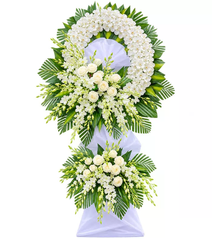 An Tịnh – kệ hoa phân ưu trắng