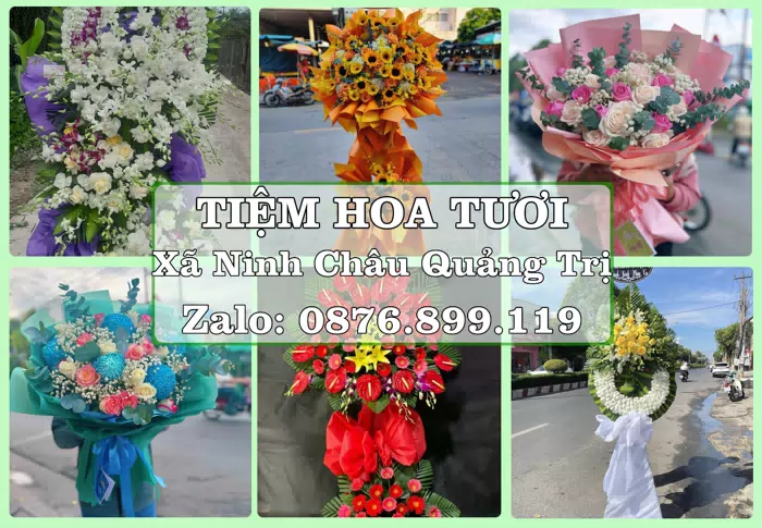 Shop hoa tươi tại Xã Ninh Châu Quảng Trị – Đặt quà gửi người thân từ xa · ảnh 1
