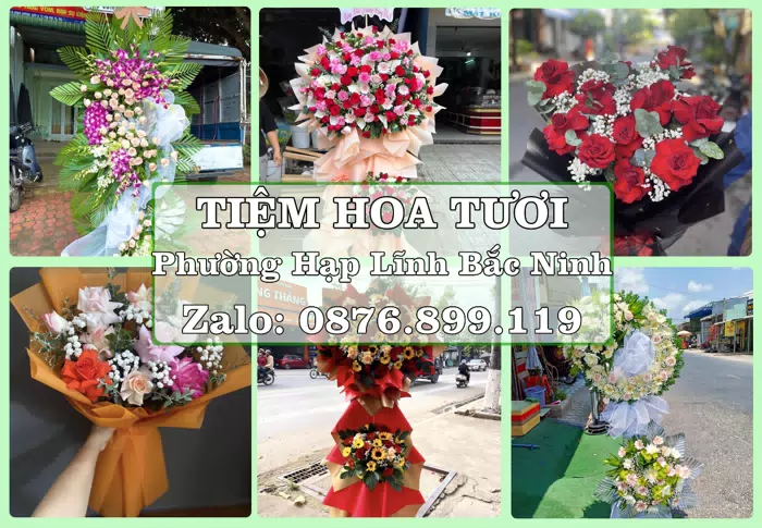 Shop hoa tươi tại Phường Hạp Lĩnh Bắc Ninh – Tư vấn hoa và trái cây theo ngân sách · ảnh 1