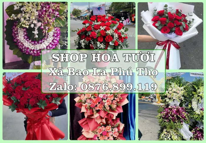 Shop hoa tươi tại Xã Bao La Phú Thọ – Chuẩn bị hoa và quà cho dịp sắp tới · ảnh 1