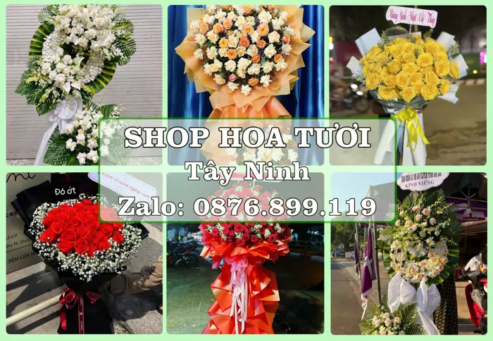 Shop hoa tươi tại Tây Ninh – Từ bó hoa tặng đến giỏ trái cây biếu · ảnh 1