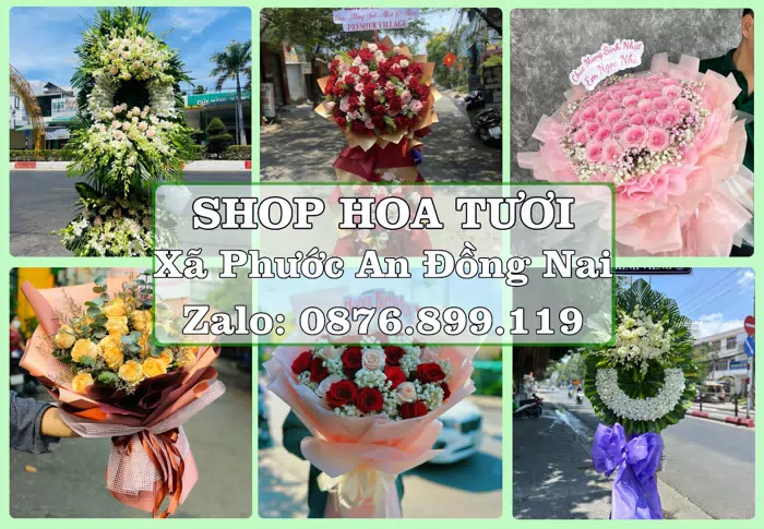 Shop hoa tươi tại Xã Phước An Đồng Nai – Tư vấn hoa và trái cây theo ngân sách · ảnh 1