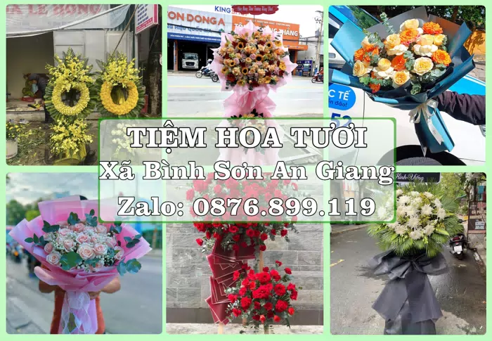 Shop hoa tươi tại Xã Bình Sơn An Giang – Gửi lời quan tâm bằng hoa và trái cây · ảnh 1