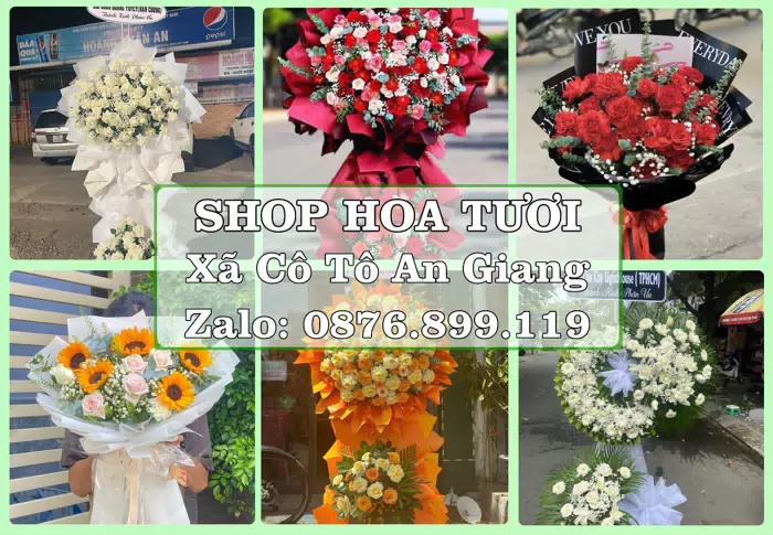 Shop hoa tươi tại Xã Cô Tô An Giang – Tìm món quà hợp dịp, hợp người nhận · ảnh 1