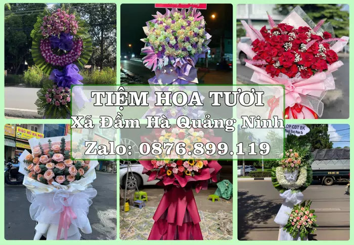 Shop hoa tươi tại Xã Đầm Hà Quảng Ninh – Hoa xinh, trái cây cho những dịp gần gũi · ảnh 1