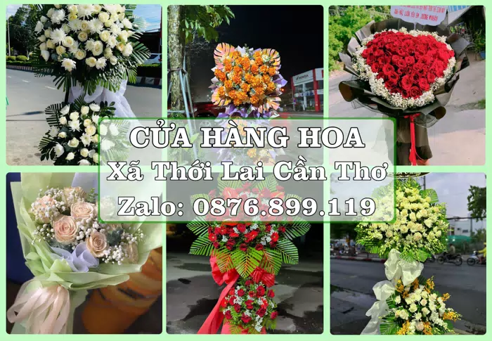 Shop hoa tươi tại Xã Thới Lai Cần Thơ – Món quà chỉn chu từ những điều nhỏ · ảnh 1