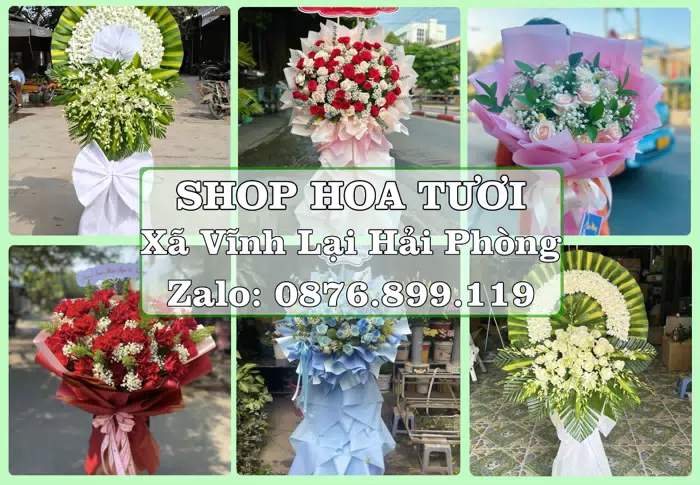 Shop hoa tươi tại Xã Vĩnh Lại Hải Phòng – Tìm món quà hợp dịp, hợp người nhận · ảnh 1