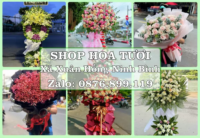 Shop hoa tươi tại Xã Xuân Hồng Ninh Bình – Gửi lời quan tâm bằng hoa và trái cây · ảnh 1