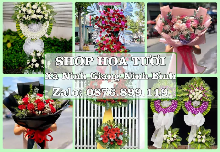 Shop hoa tươi tại Xã Ninh Giang Ninh Bình – Từ bó hoa tặng đến giỏ trái cây biếu · ảnh 1