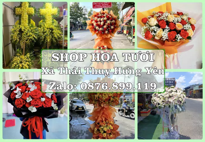 Shop hoa tươi tại Xã Thái Thuỵ Hưng Yên – Gửi lời quan tâm bằng hoa và trái cây · ảnh 1