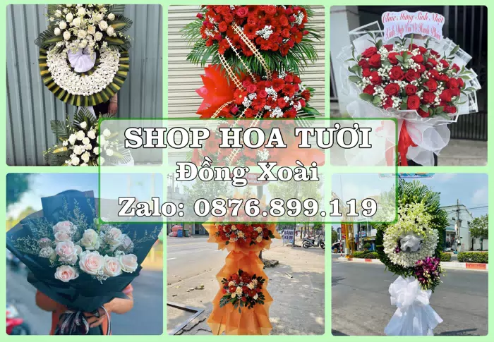 Shop hoa tươi tại Đồng Xoài – Gửi lời quan tâm bằng hoa và trái cây · ảnh 1
