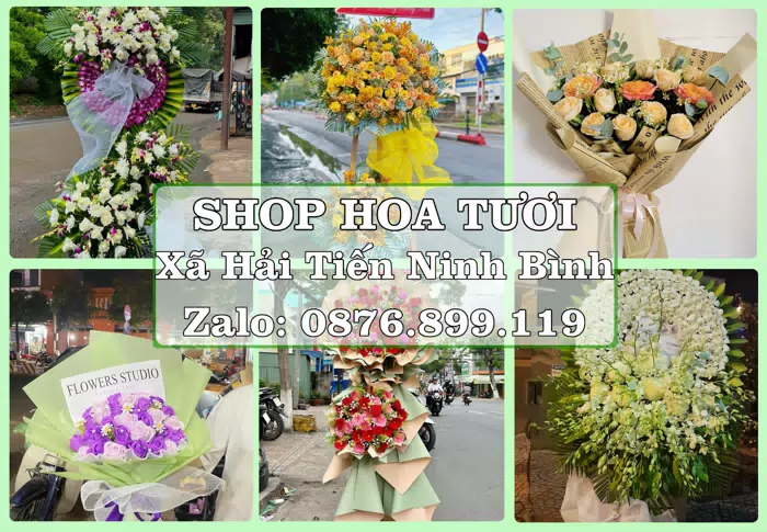 Shop hoa tươi tại Xã Hải Tiến Ninh Bình – Một món quà vừa ý cho ngày đáng nhớ · ảnh 1