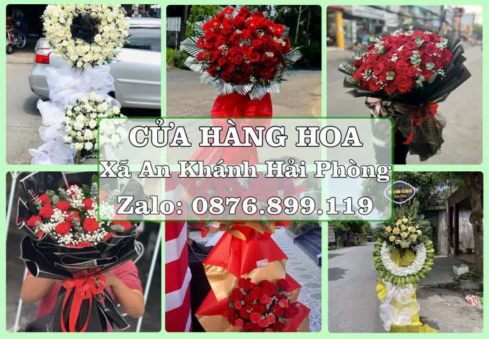 Shop hoa tươi tại Xã An Khánh Hải Phòng – Tư vấn hoa và trái cây theo ngân sách · ảnh 1