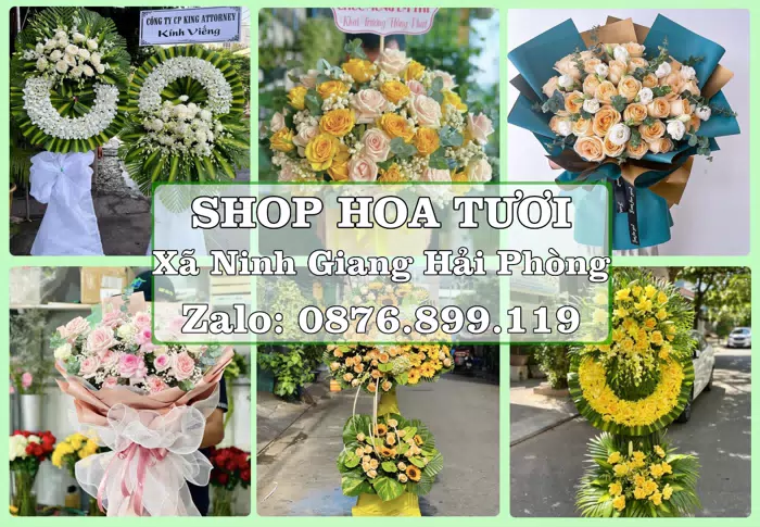 Shop hoa tươi tại Xã Ninh Giang Hải Phòng – Tư vấn hoa và trái cây theo ngân sách · ảnh 1