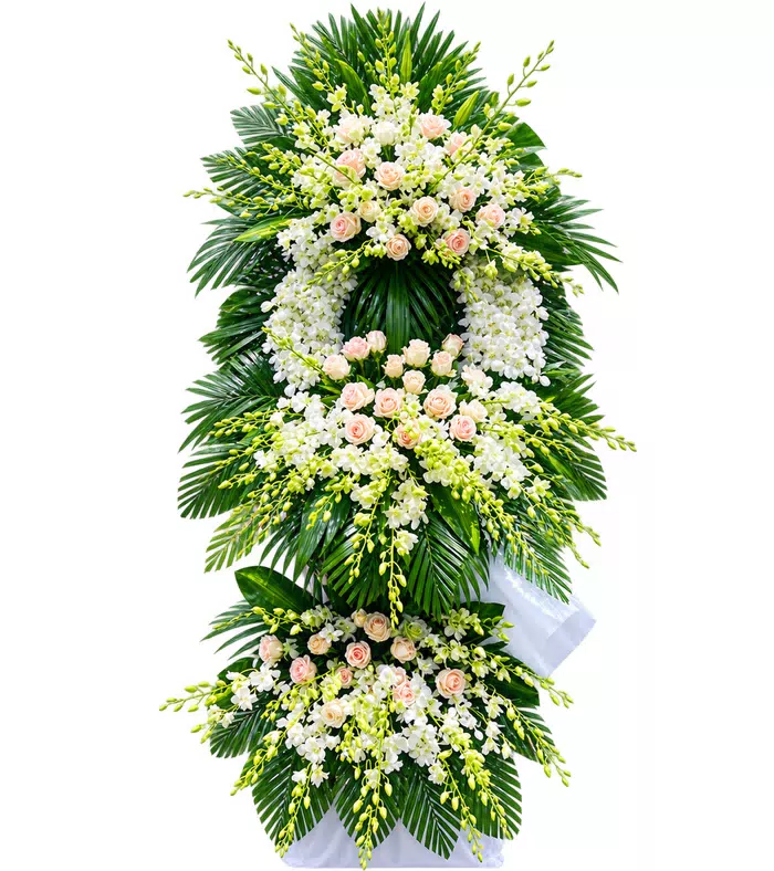 Miền Ký Ức – kệ hoa phân ưu hồng phấn trắng · 1479