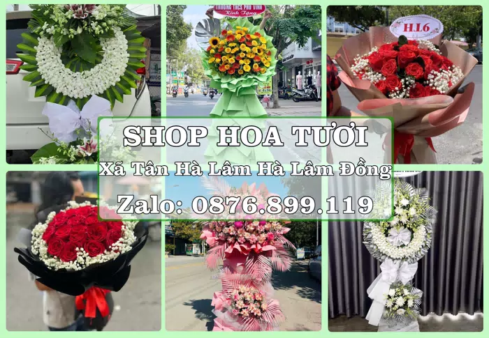 Shop hoa tươi tại Xã Tân Hà Lâm Hà Lâm Đồng – Hoa chúc mừng, quà biếu theo nhu cầu · ảnh 1